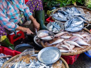 Ăn gì ở phá Tam Giang